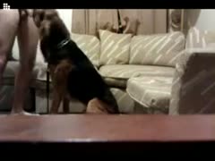 While outsiders watch live, the husband enters the family room covertly and gets drilled by the family pet.